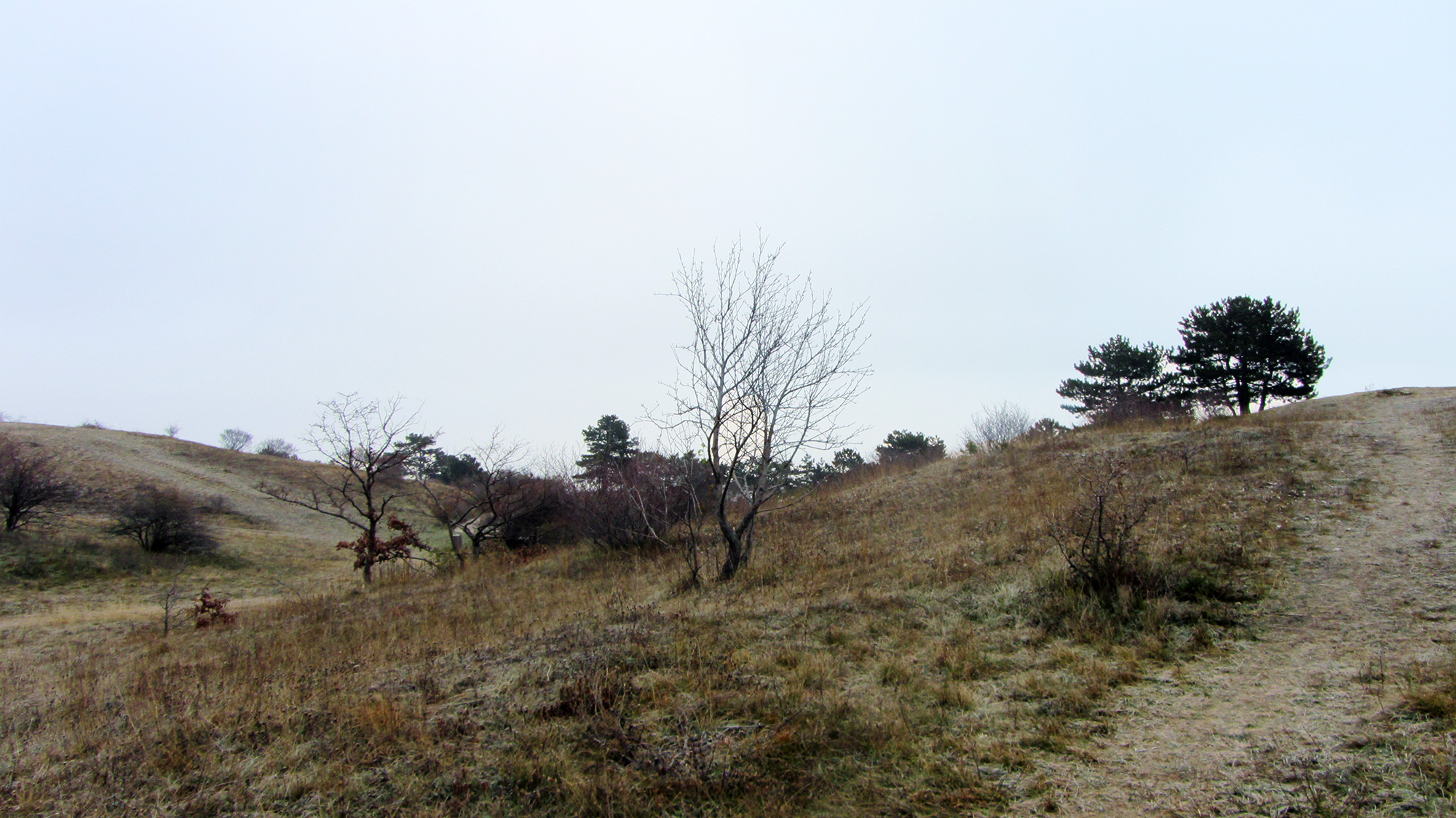 Perchtoldsdorfer Heide 02. Dezember 2020