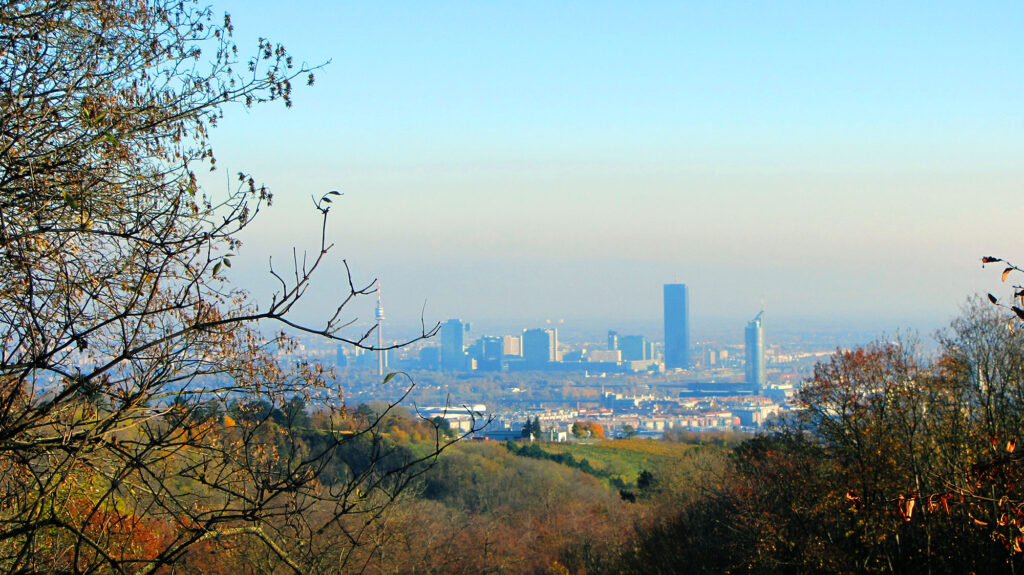 Herbst am Hermannskogel