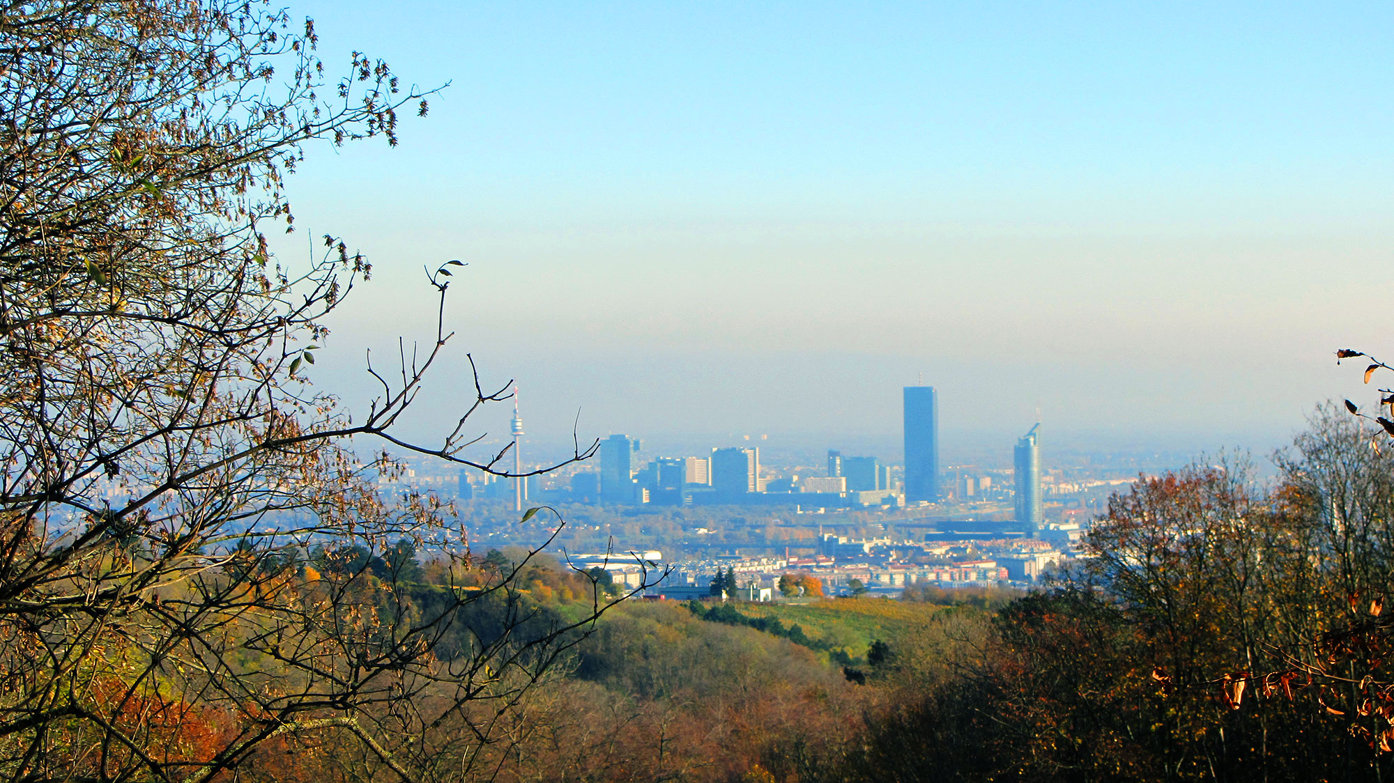 Herrmannskogel 4. Oktober 2020