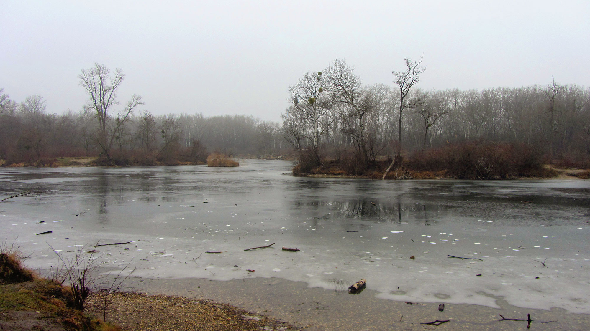 Lobau, 21. Jänner 2021