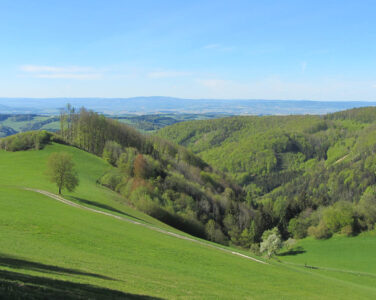 Geisbühel, 8. Mai 2021