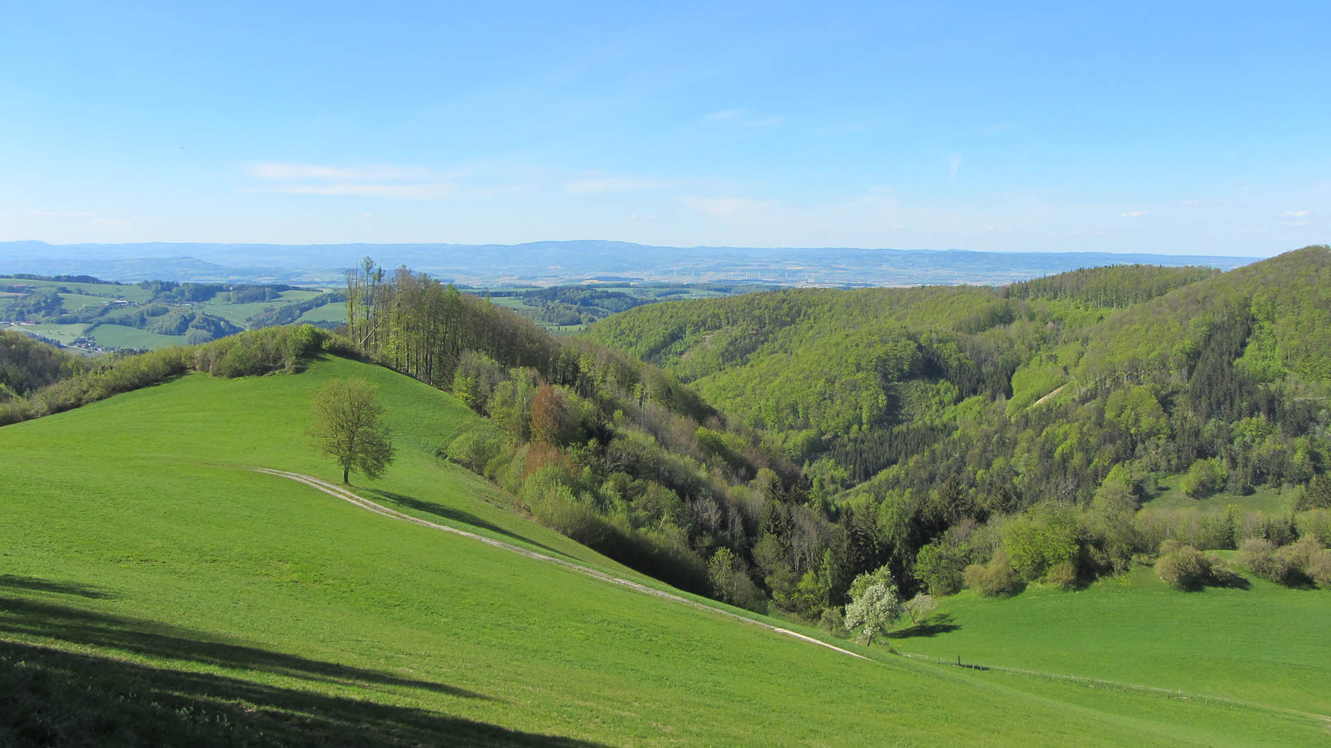 Geisbühel, 8. Mai 2021